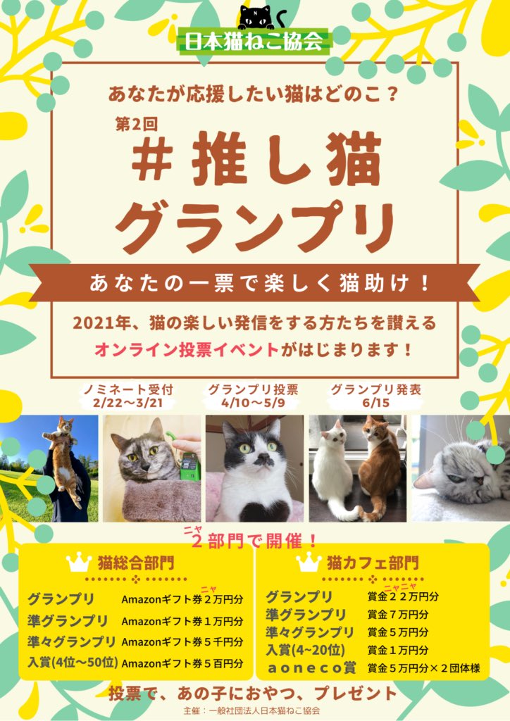保護猫カフェ 鎌倉ねこの間 Kumikuma0510 Twitter