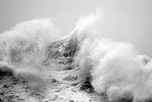 archillect's tweet image. 