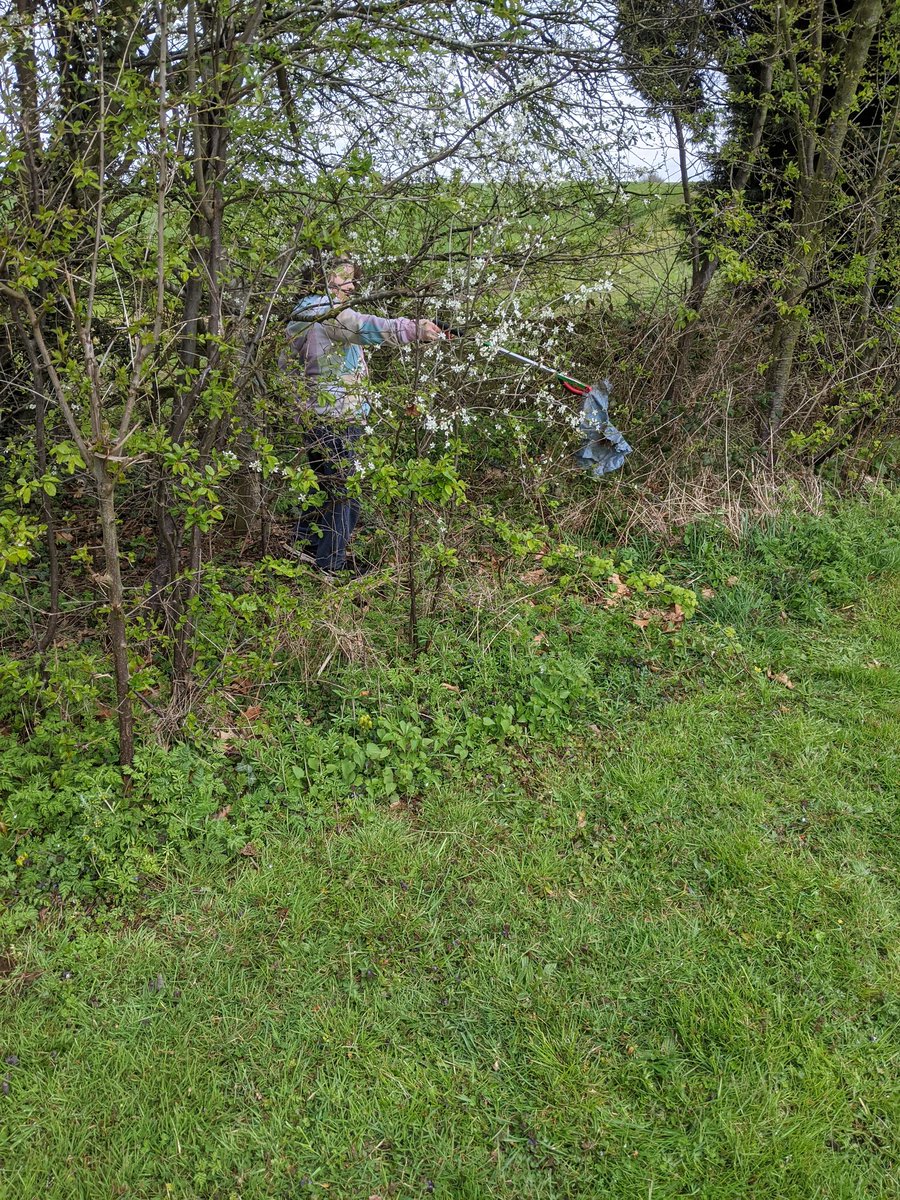 Jallandinho's tweet photo. Early morning litter pick with the little ones this morning #litterheros #daventry @Daventry_TC @DaventryDC https://t.co/kSaxQsYaxN
