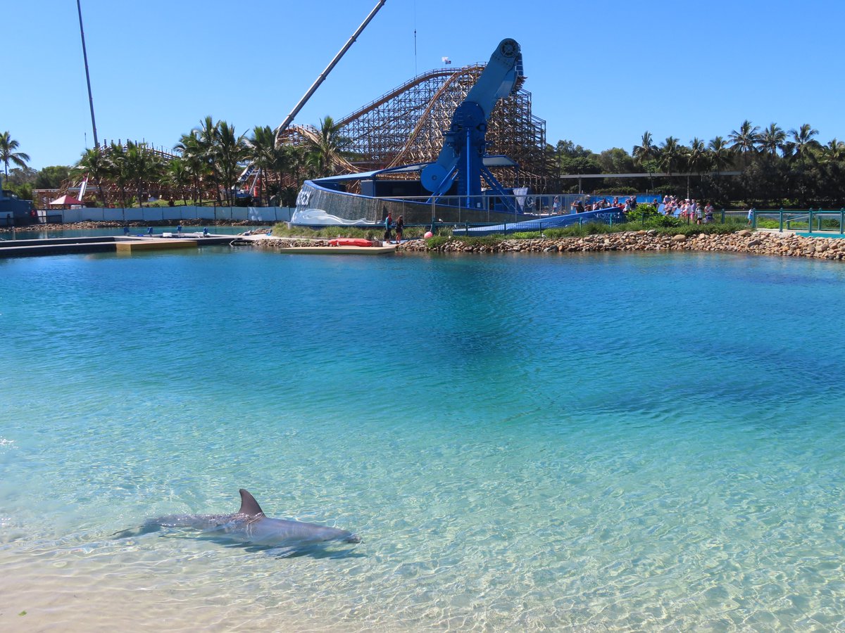 Together we can create a dolphin friendly future where dolphins are wild and free – not bred in captivity. 

#BanDolphinBreeding #Dolphins #NotEntertainers