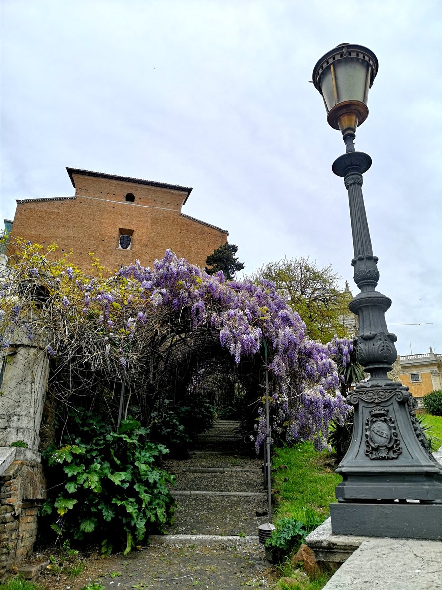 ile_mic's tweet photo. Capitolium &amp; Roman Forum #Romanarchaeology #Rome  #springinrome #flowers #green https://t.co/5TLD1I5rgk