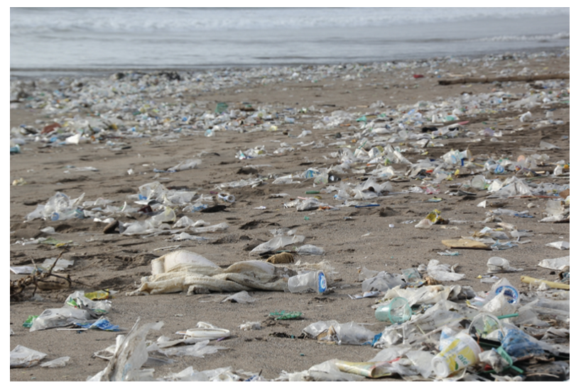 GlobalAmira's tweet photo. Our project to remove plastic from the oceans! A change is needed! There are solutions if you look for it. Let`s collaborate for a plastic free ocean! @seaspiracy @AllPlasticFree @UNEP @UN_Water #amira4future https://t.co/13eHFaki3M