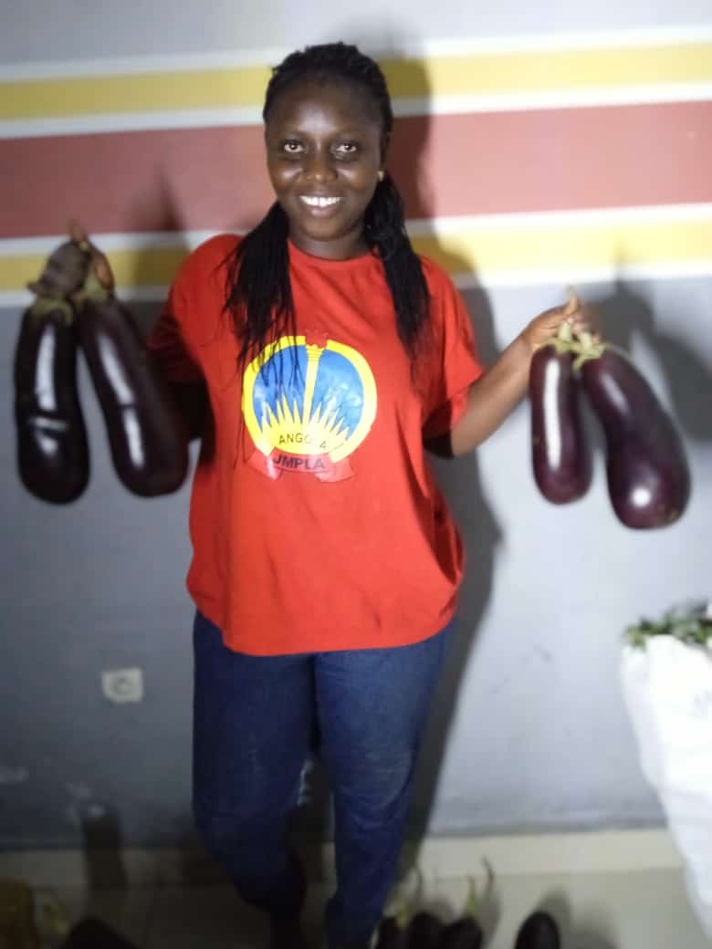 ypard_rdc's tweet photo. Les aubergines du #Centre d'#Excellence #Mvululu sont disponibles. La qualité et la fraîcheur. Faites vos commandes!
1 kg à 1,5 $. https://t.co/sqqZyRJzZQ