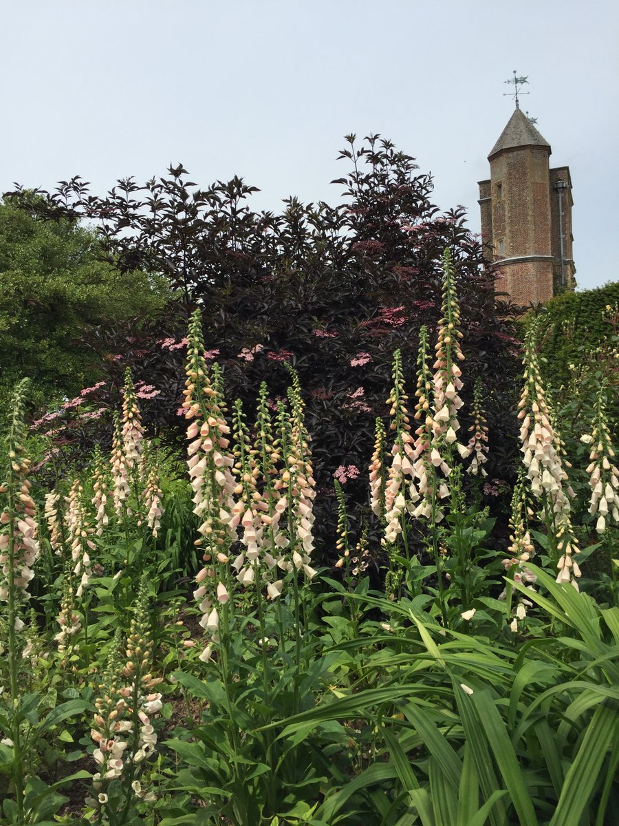 I'm going to cheat a little and include Sissinghurst Castle and gardens. Technically it is *just* outside the AONB, but it's lovely and please visit