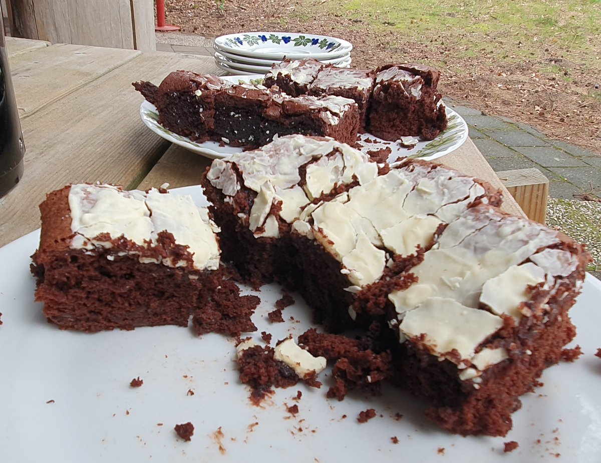 Canal Clean Up Day. 💪🏽 Met een groep vrijwilligers van <a href="/rv_tor/">Roeivereniging TOR</a> tussen Tilburg en Haghorst 'ons' roeiwater en omgeving zwerfafval vrij gemaakt. <a href="/gemeentetilburg/">gemeentetilburg</a> regelde afvalgrijpers en zakken en <a href="/omroeptilburg/">omroeptilburg</a> maakte een reportage. De actie afgesloten met koffie en brownies.😋