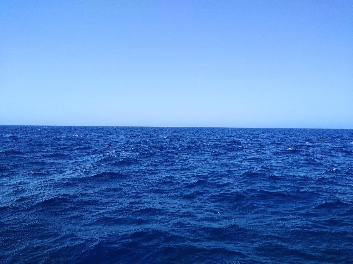 BogantesVik's tweet photo. Finally back to the sea! Collecting water samples to the study the diversity of reef fishes from the Gulf of Mexico! #eDNA #Janosiklab #whereisthemud https://t.co/QUR06lVyMu