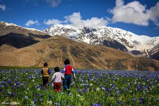 → Welatê sari “ware”wo, welatê to “dewa”. Rozê nê- rozê cêrena'ra dewe. 
→ Elin ülkesi “yayla”dır, senin ülken “köy” dür. Birgün değil birgün köye döneceksin. 
[Hawar Tornêcengi]