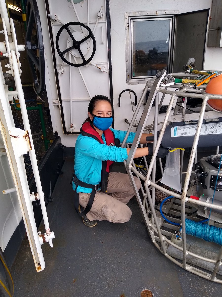 BogantesVik's tweet photo. Finally back to the sea! Collecting water samples to the study the diversity of reef fishes from the Gulf of Mexico! #eDNA #Janosiklab #whereisthemud https://t.co/QUR06lVyMu