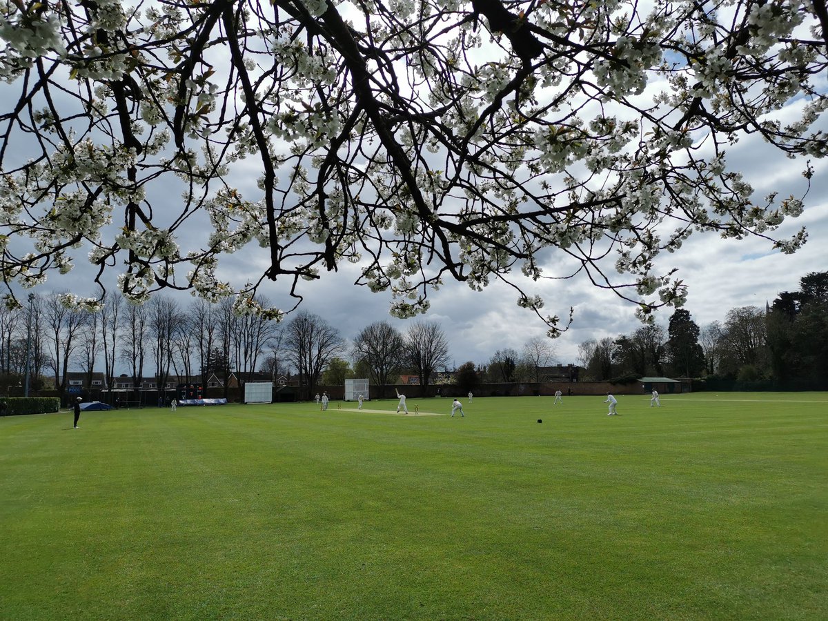 Lovely to see cricket back on the Abbey Lawns. <a href="/BourneCC/">Bourne Cricket Club</a> v <a href="/Uff_Cricket/">Uffington Cricket</a> <a href="/ECB_cricket/">England and Wales Cricket Board</a>