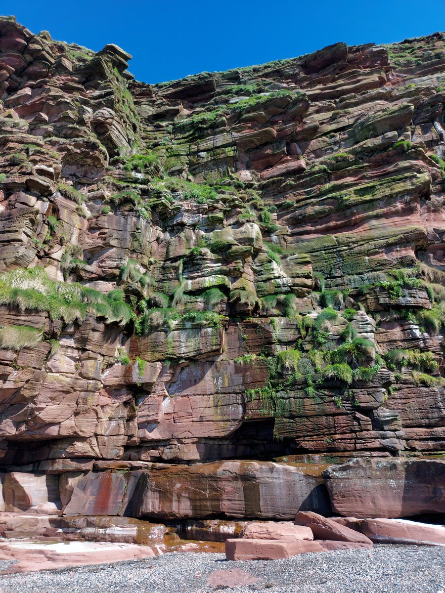 Triassic-age riverine sediments in the UK are often lumped together as 'New Red Sandstone', and overshadowed by fossil-rich marine rocks from the Jurassic and Cretaceous periods. Because they don't contain obvious age-diagnostic fossils, and they mostly all look the same..