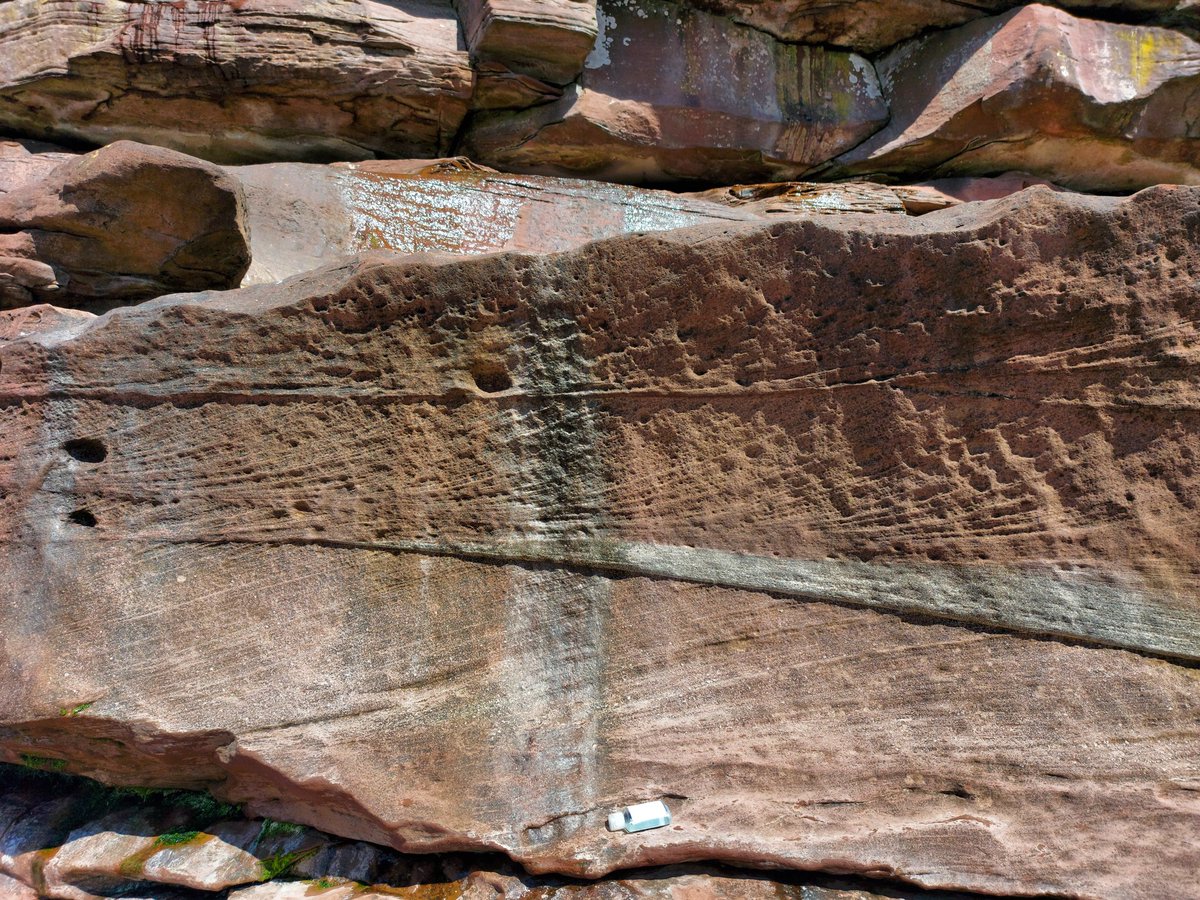 ..but these rocks are packed with beautiful sedimentary structures (cross-bedding) that show the current-direction and even depth of meandering >200 Myr old Pangean river channels.