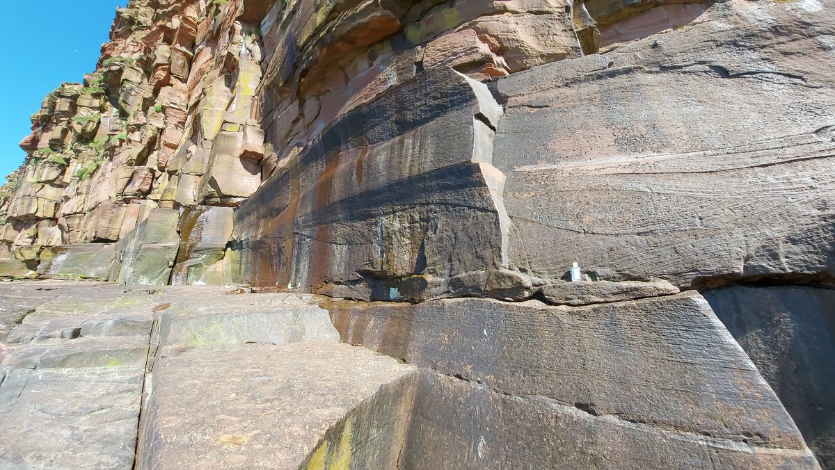 ..but these rocks are packed with beautiful sedimentary structures (cross-bedding) that show the current-direction and even depth of meandering >200 Myr old Pangean river channels.