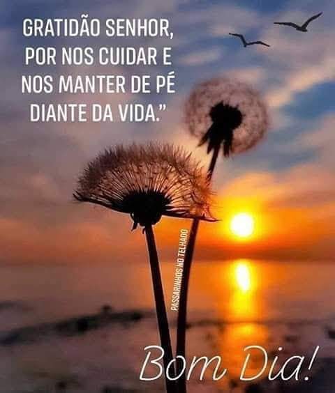 ellen milgrau on Twitter: ellen milgrau on Twitter: