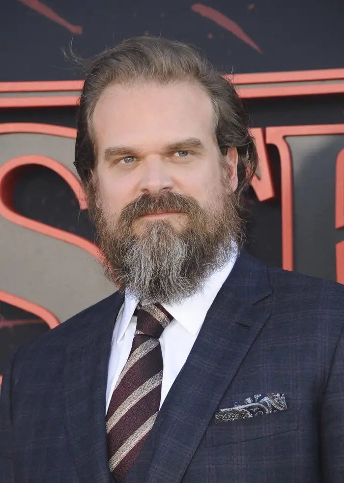 Happy birthday to this super dreamy and talented man, David Harbour!   