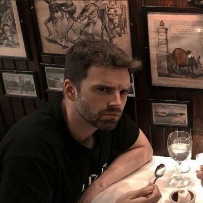 sebastian stan as cats, a short thread