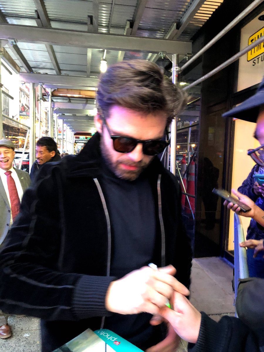 sebastian stan as cats, a short thread