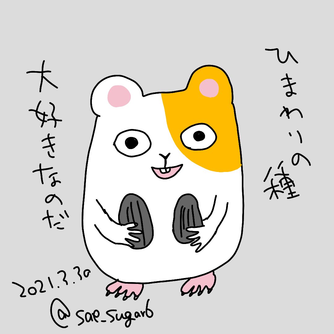 こんなかんじ 