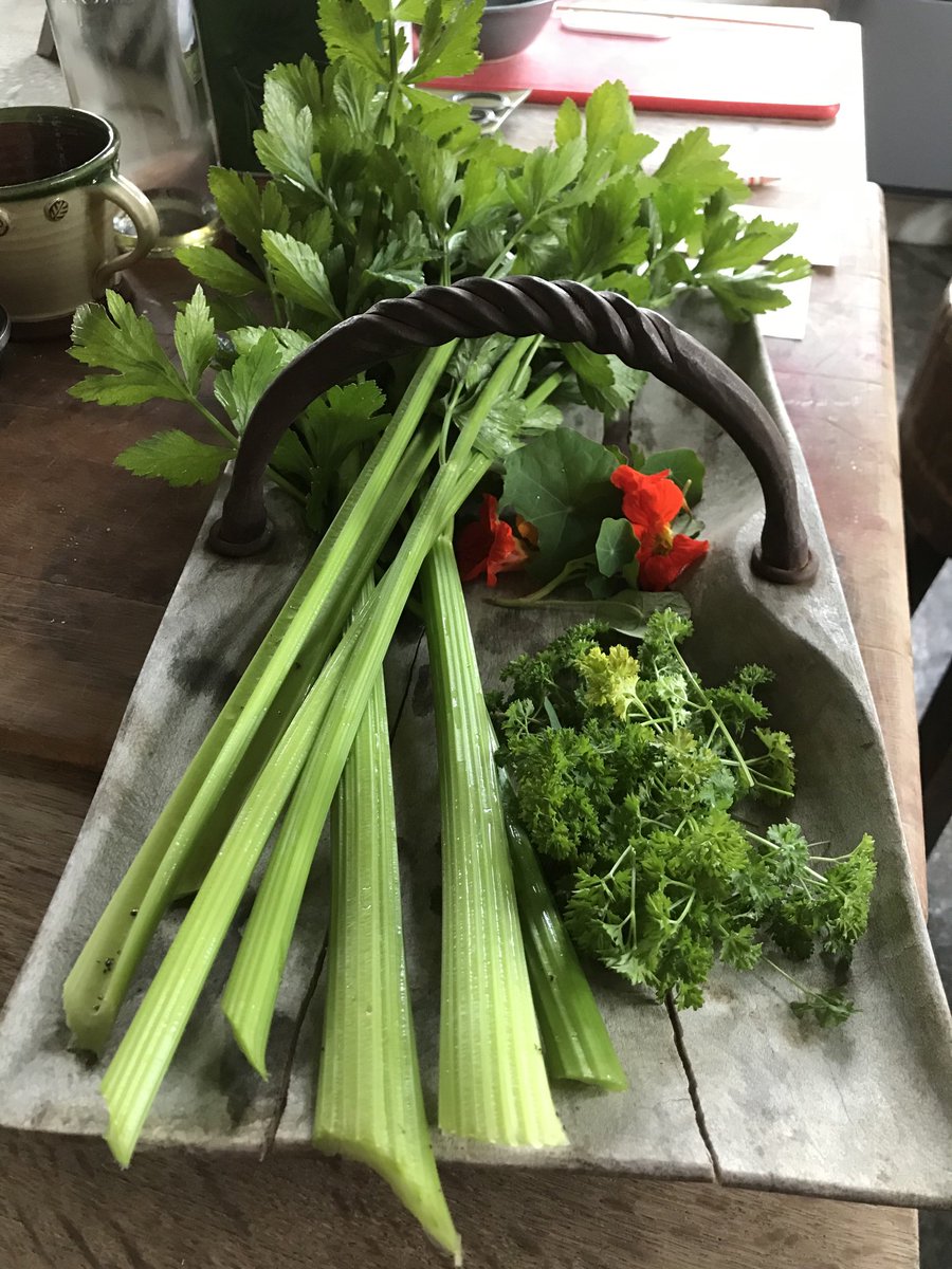 Deborah Meaden 🇺🇦 tweet media