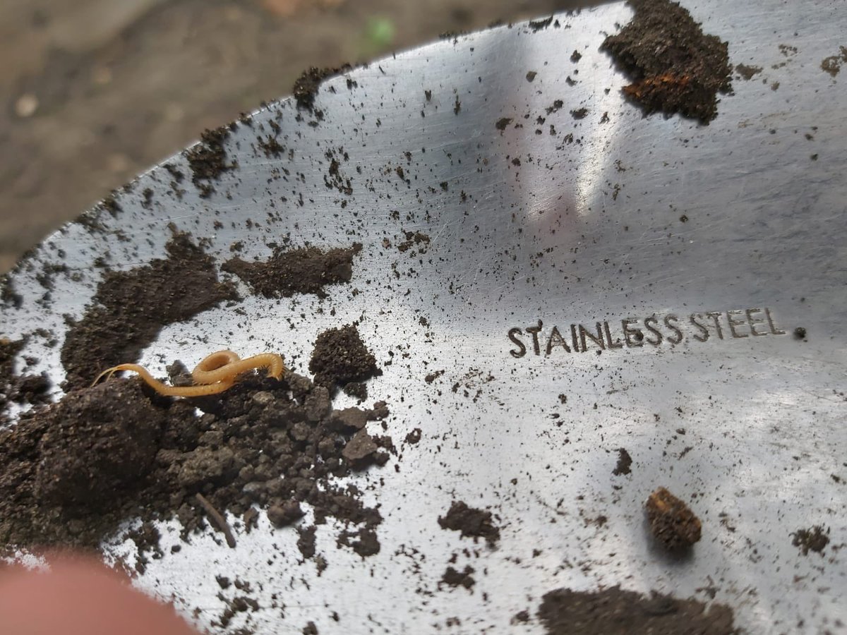 14th Wallington Cubs tweet media