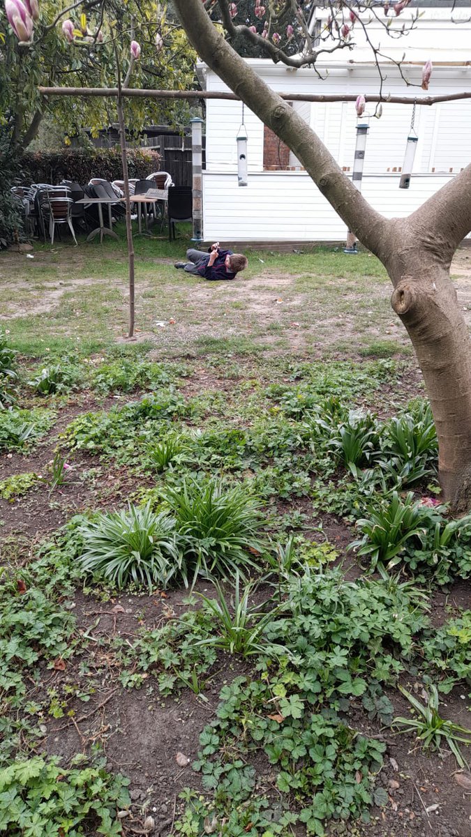 14th Wallington Cubs tweet media