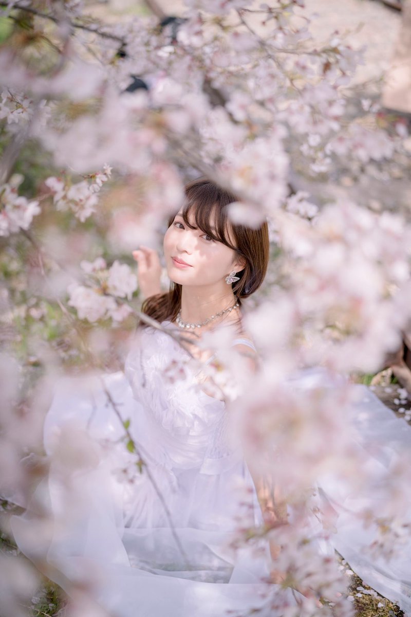 2021年3月
model:もーもーさん(<a href="/m_o_w_m_o_w/">もーもー</a> )

桜の名所も満開🌸
人も多かったけどキレイなモデルさんと桜のおかげでええ感じに撮れました✨

#ポートレート #写真好きな人とつながりたい #a7RIII #被写体募集中
