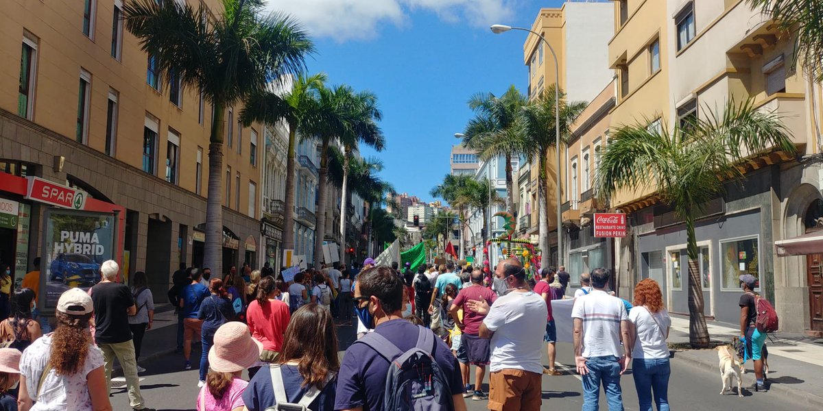 SolidariaSomos's tweet photo. Ya ha comenzado la manifestación hoy en Las Palmas de Gran Canaria.

¡Únete! https://t.co/fjeUzipooS