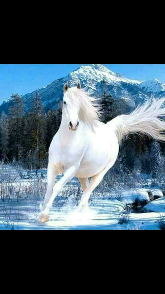 Gamze (@gamze27898711) on Twitter photo 