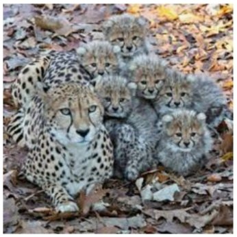 Gamze (@gamze27898711) on Twitter photo 