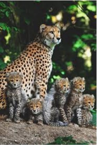 Gamze (@gamze27898711) on Twitter photo 