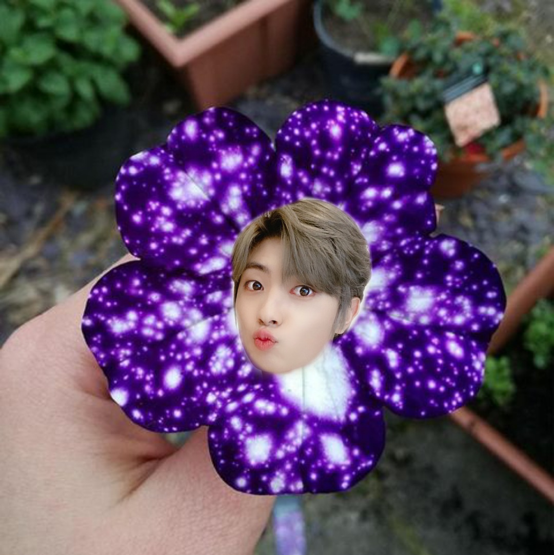 The Galaxy Flower (Hyungu Cultivars)- Needs a lot of coaxing to bloom (at first)- Impossible to water properly (it's either too much or too little and it will make a fuss either way)- Needs reading to it at least once a week- Will cause relationship drama in your flowerbeds