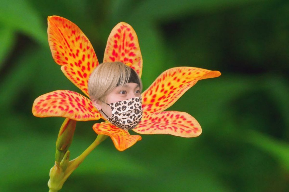 The Leopard (Print) Lily- WARNING: is much taller than it looks, make sure to give it enough space when considering were to plant it- HAMSTER SAFE- Will surround itself with leopard print (so much leopard print)- Is Bluetooth compatible and has access to soundcloud.