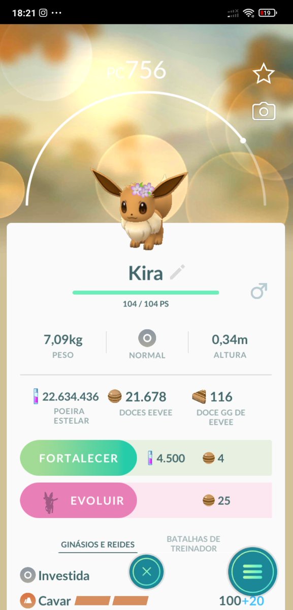 Obaaaa, bora pra evolução. #Kira , só que não. Mais um #bugantic.