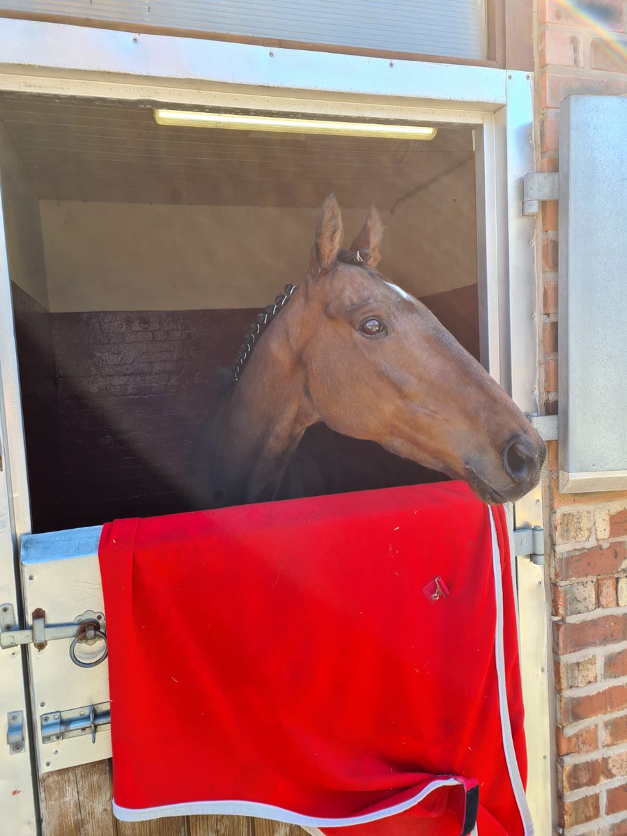 jamiesnowden's tweet photo. #HogansHeight took his form to a new level when #winning the #GrandSefton @AintreeRaces now he tackles the #GrandNational2021 under #GavinSheehan for @Foxtrot_Racing @BetVictor #ExcitingTimes https://t.co/SUXJaiMlAi