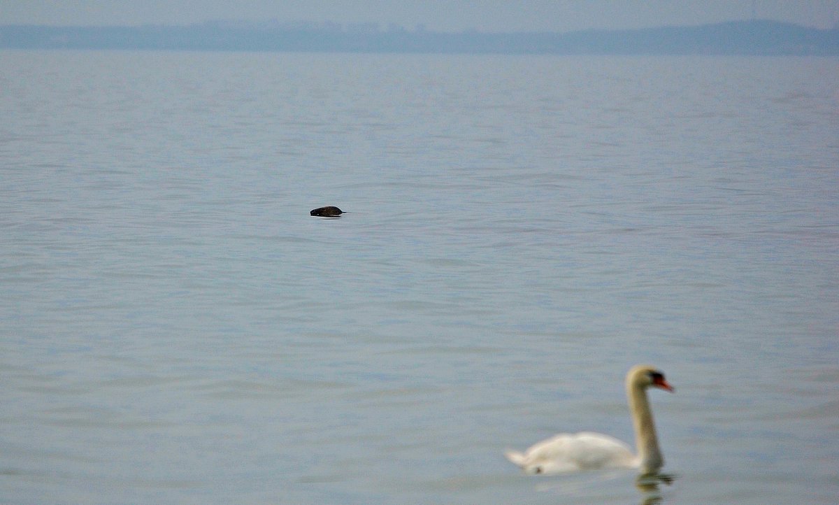 Jarosław tweet media