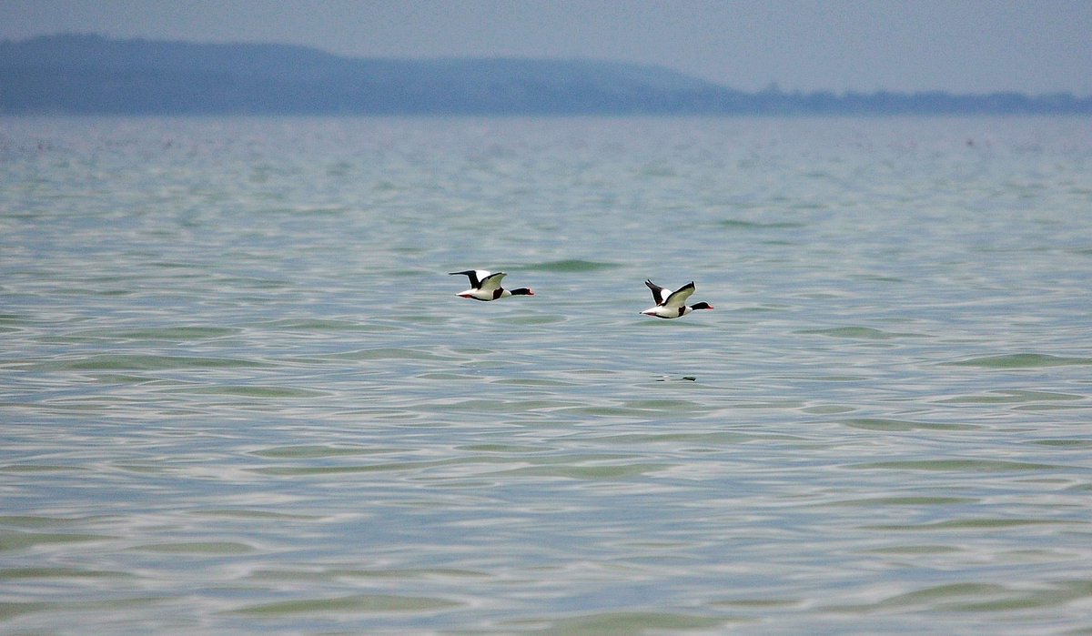 Jarosław tweet media