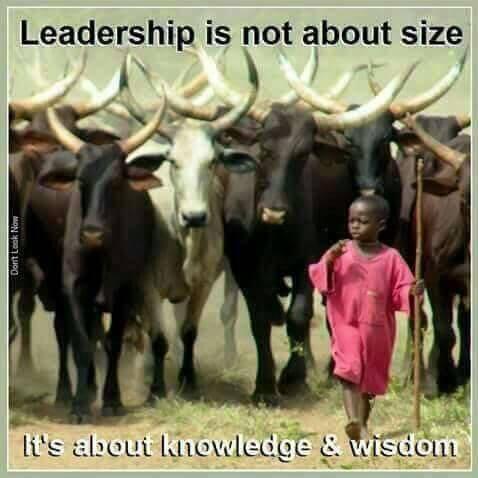 MPKwarteng_'s tweet photo. #BringBackMahama to #BuildBackGhana https://t.co/7ezHnvsCP3