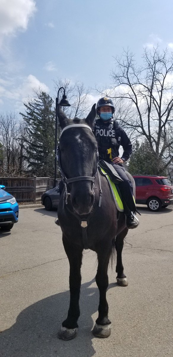 Ralphie9's tweet image. Big shout out to the @HamiltonPolice from my good buddy James Dean. He wanted to thank you for taking the time to bring a few horses to see his mom who is in hospice. She couldnt have been happier, really made her day