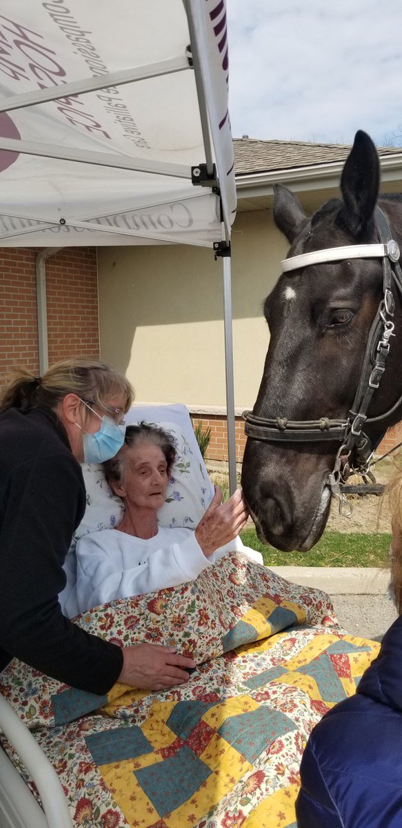 Ralphie9's tweet image. Big shout out to the @HamiltonPolice from my good buddy James Dean. He wanted to thank you for taking the time to bring a few horses to see his mom who is in hospice. She couldnt have been happier, really made her day
