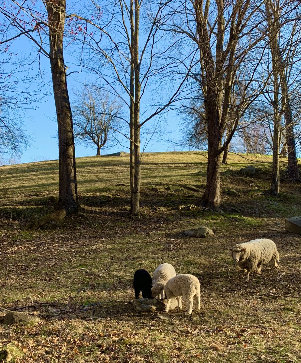 It’s a perfect morning to come explore the Rensselaer Plateau.