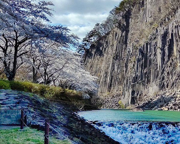 Ohuran8068's tweet photo. ｢材木岩と桜｣  見頃です🌸 https://t.co/MLN93yV4v2