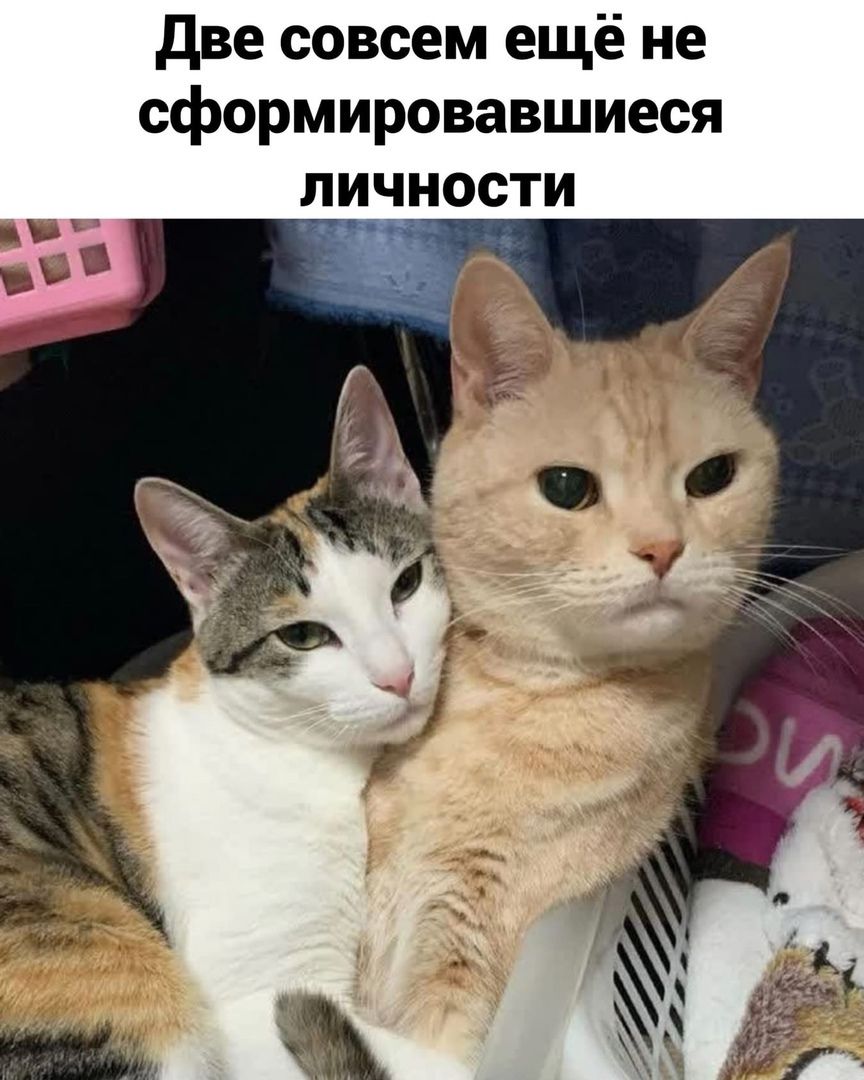 drunktwi's tweet image. 