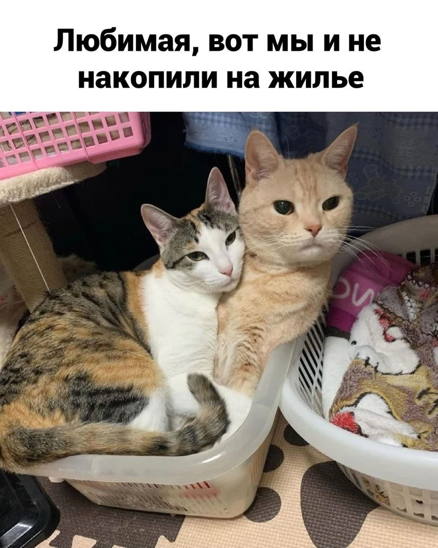 drunktwi's tweet image. 