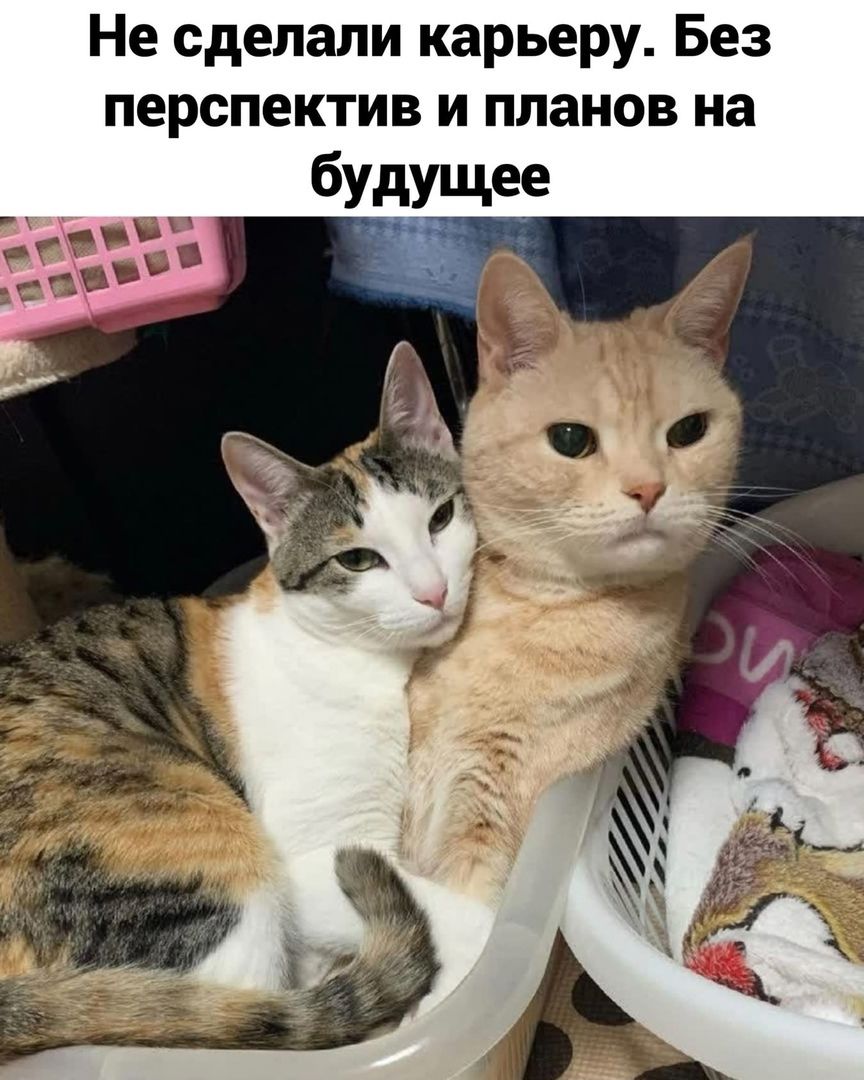 drunktwi's tweet image. 