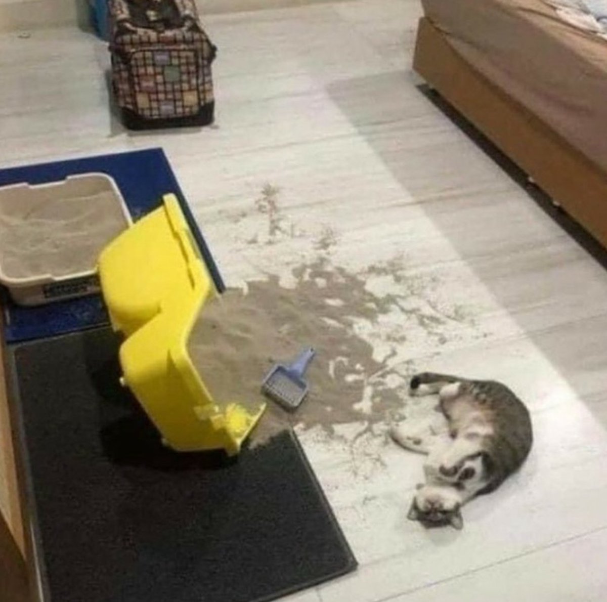 Se non puoi nascondere un disastro, fingiti vittima