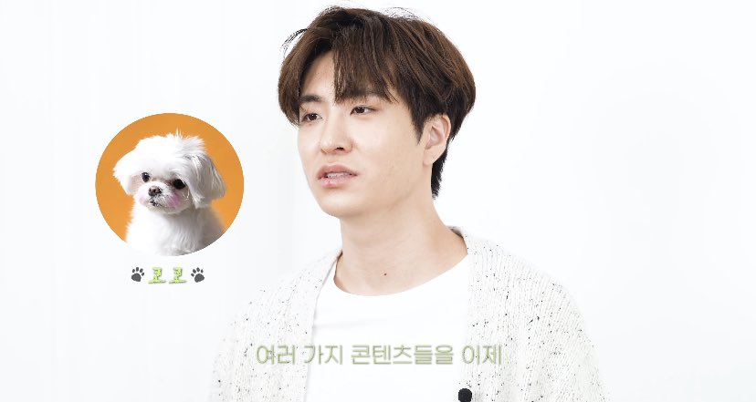 stitch_pololo's tweet photo. "ยองแจ"จะมีคลิปกับโคโค่" เป็นคลิปเกี่ยวกับน้องหมา คนรักหมาก็ดูได้หมด ยองแจจะมาสอนทำขนมให้น้องหมาด้วย แค่เห็นทีเซอร์ความสดใสของยองแจก็มาเต็มแล้ว🥰 รอดูคลิปวันที่ 16 เม.ย.นี้ ตอน 6โมง ทางยูทูปช่องOOTV ได้เลยย https://t.co/RKeOYJvcJL