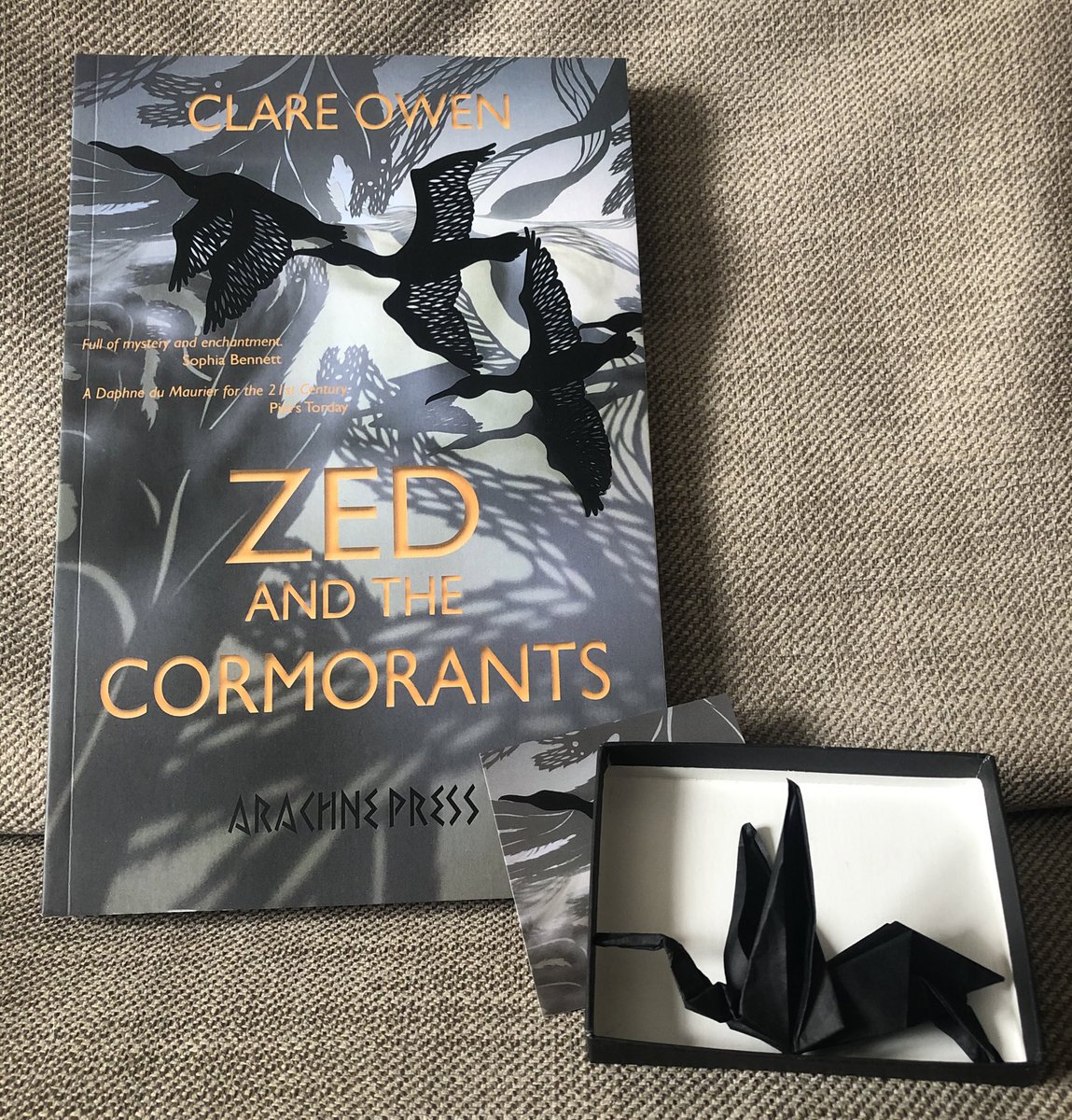 Really looking forward to getting stuck into this beauty by @clareowenwriter @ArachnePress Gothic and YA in one - yes please! #ZedandtheCormorants