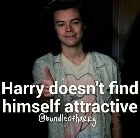 Helpful Harry Styles facts I learnt from Pinterest.An informative thread