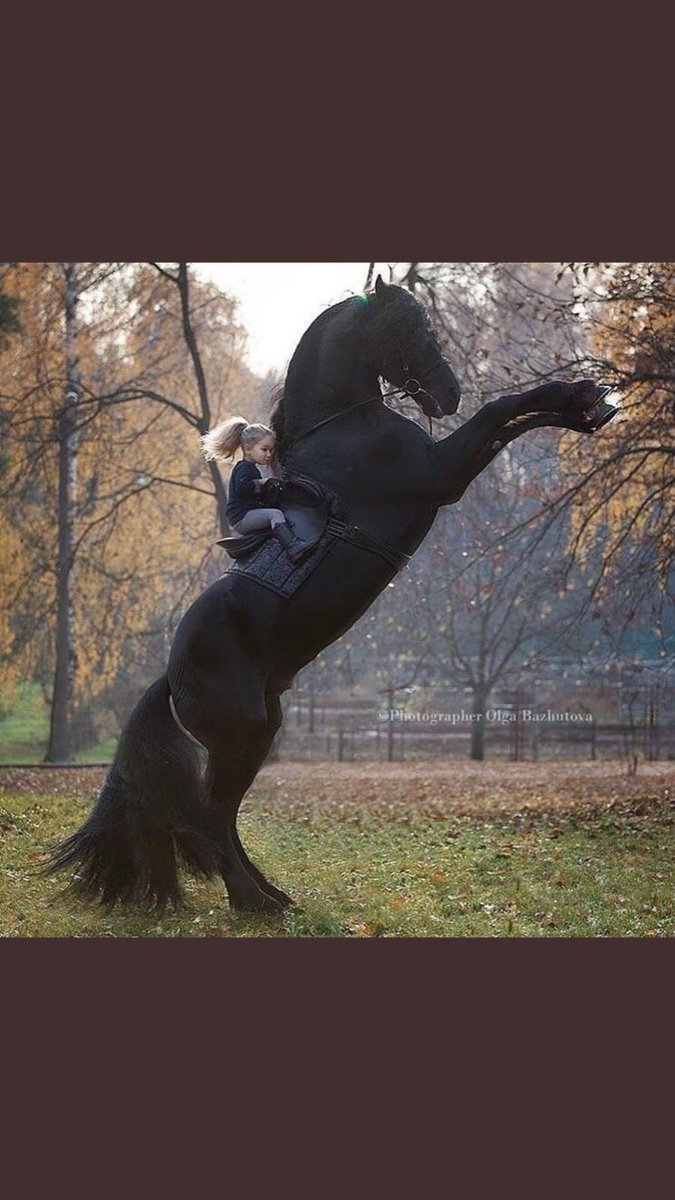 Gamze (@gamze27898711) on Twitter photo 