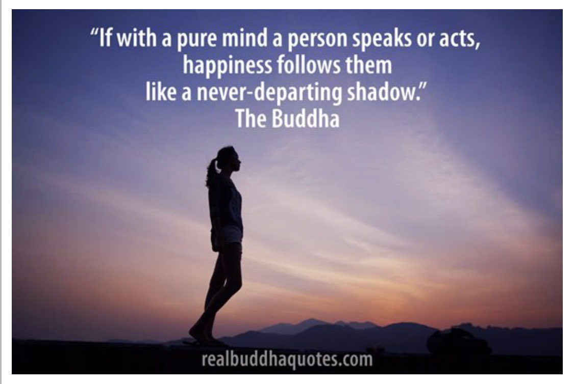 GLandonTaylor's tweet image. Today’s wisdom:  #happiness #puremind #buddhism #wisdom