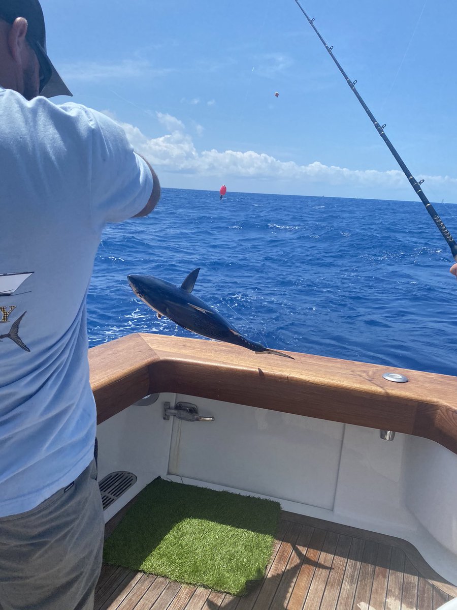 Angie Skinner tweet media